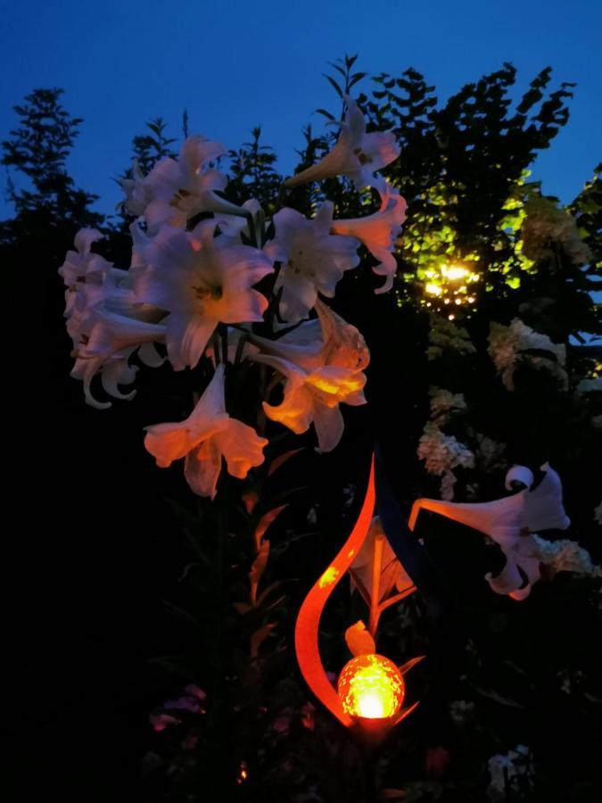 Ferienwohnungen Thalmeier Sankt Gilgen Exteriör bild
